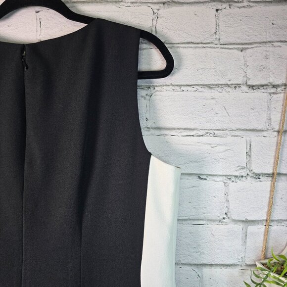 ADRIANNA PAPELL SHEATH DRESS BLACK AND WHITE DIAGONAL STRIPES WOMENS 14W - Picture 5 of 6